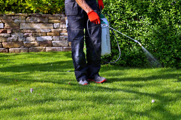 Best Pest Prevention Services  in Hampton Bays, NY